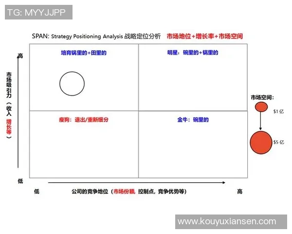 成都排球队在大师赛中的团队协作表现分析与启示